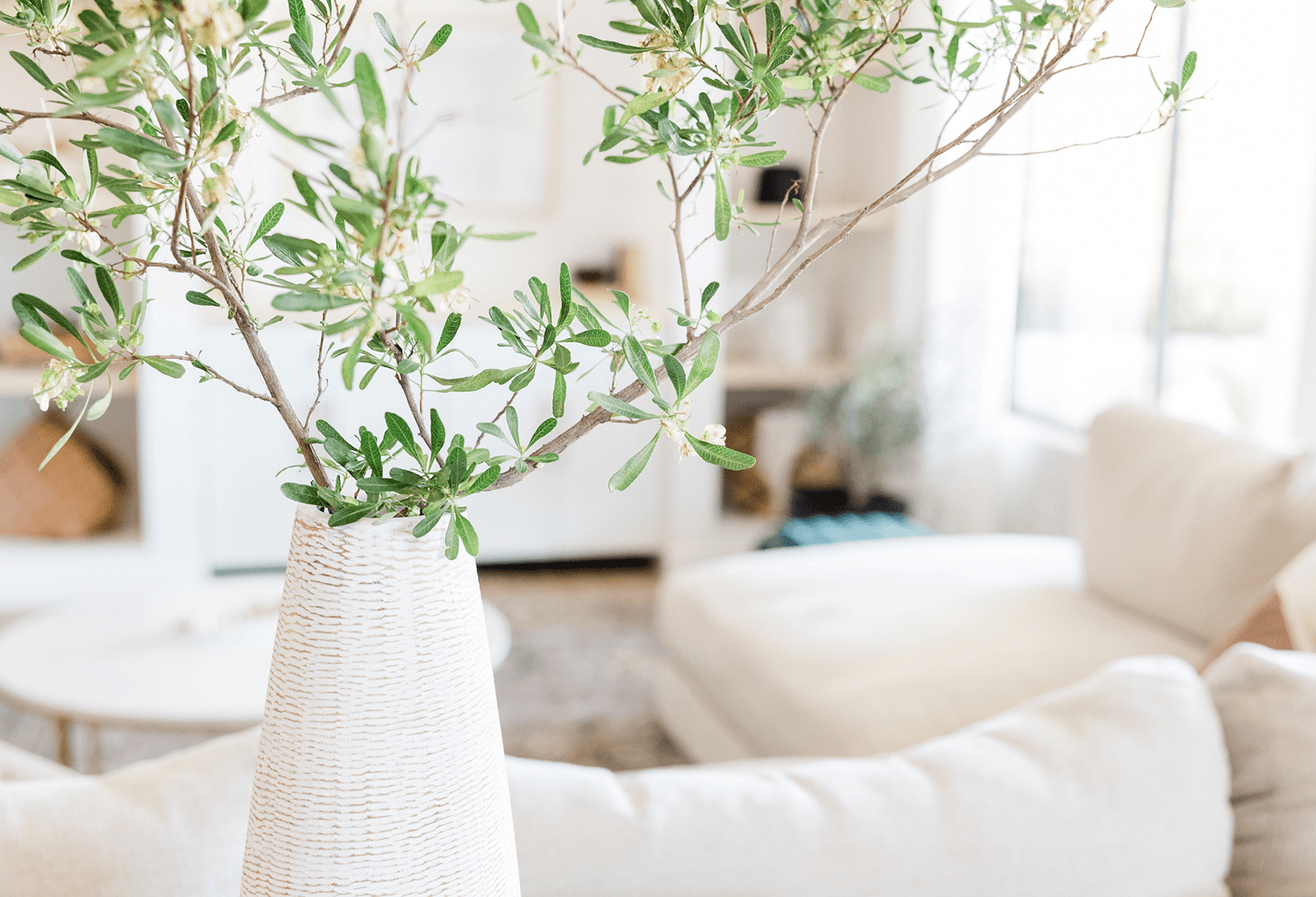 Olive branches in a vase styling a calm, sunlit living space