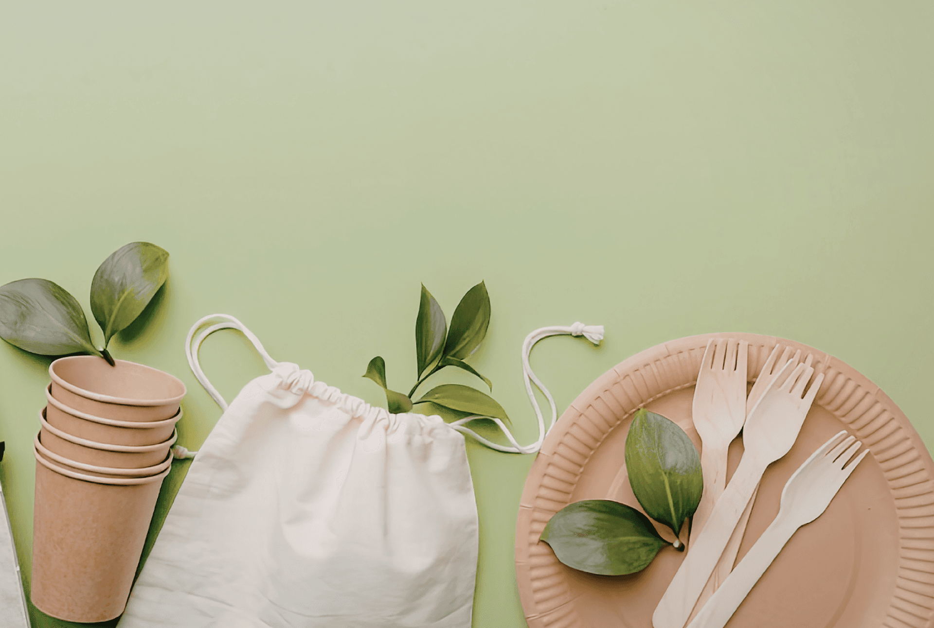 A flat lay of eco kitchen goods — kraft cups, a cotton bag, and wooden utensils on a green surface